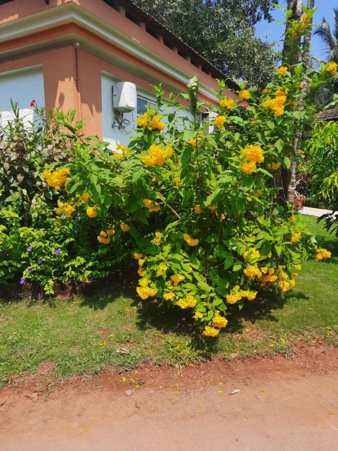 Villa Sunflower Cavelossim Exterior foto